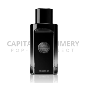 Antonio Banderas The Icon M 100 ml EDP