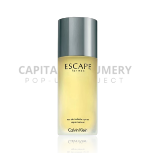 Calvin Klein Escape M 100 ml EDT
