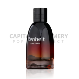Fragrance World Renheit M 100 ml EDP
