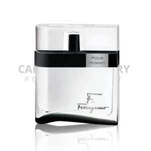 Salvatore Ferragamo F Black M 100 ml EDT