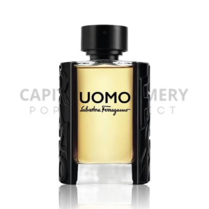 Salvatore Ferragamo UOMO M 100 ml EDT