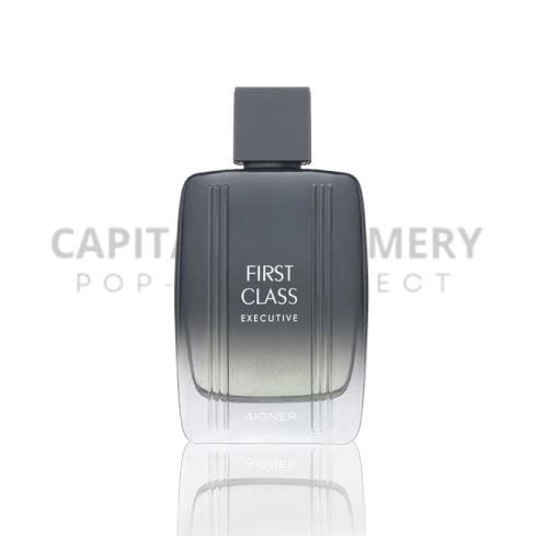 Aigner First Class Executive M 100 ml EDT
