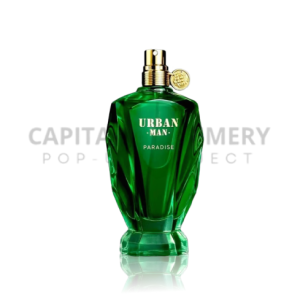 Fragrance World Urban Man Paradise M 90 ml EDP