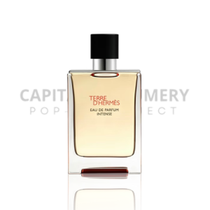Hermes Terre D'Hermes M 100 ml EDP Intense