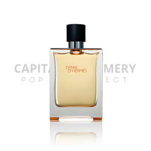 Hermes Terre D'Hermes M 100 ml EDT