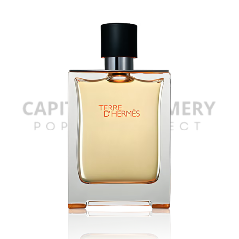 Hermes Terre D'Hermes M 75 ml Parfum