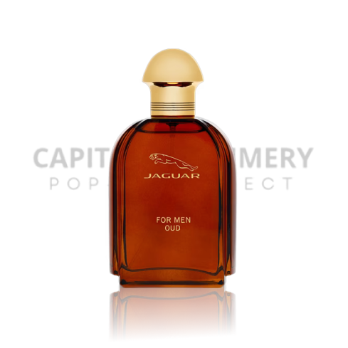 Jaguar Oud For M 100 ml EDP