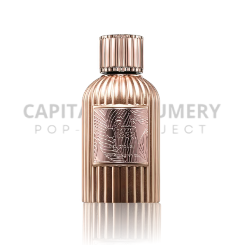 Paris Corner Qissa Delicious W 100 ml EDP