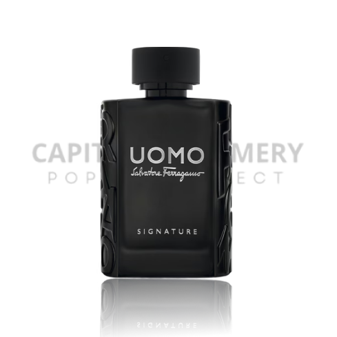 Salvatore Ferragamo Signature Uomo M 100 ml EDP